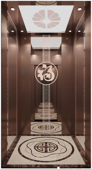 Luxusdekoration Home Elevator